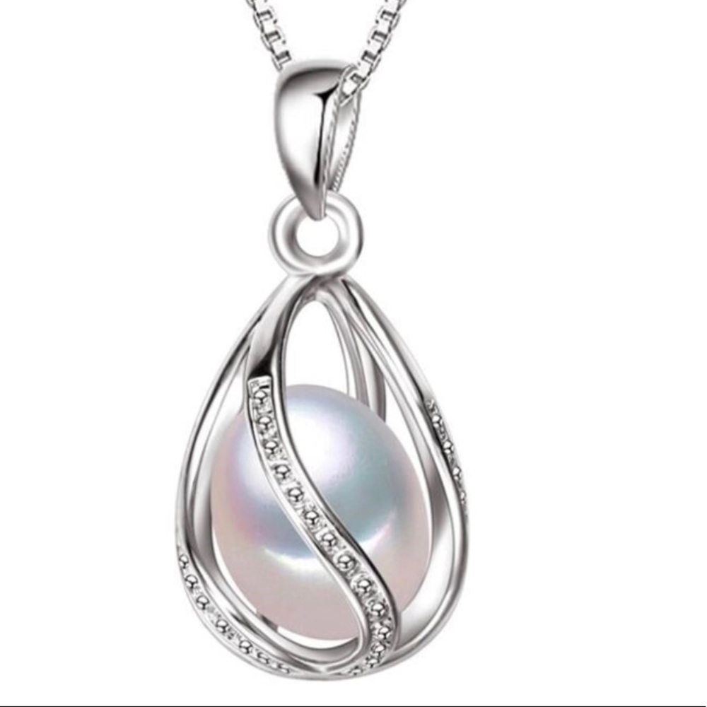 925 Sterling Silver Necklace.